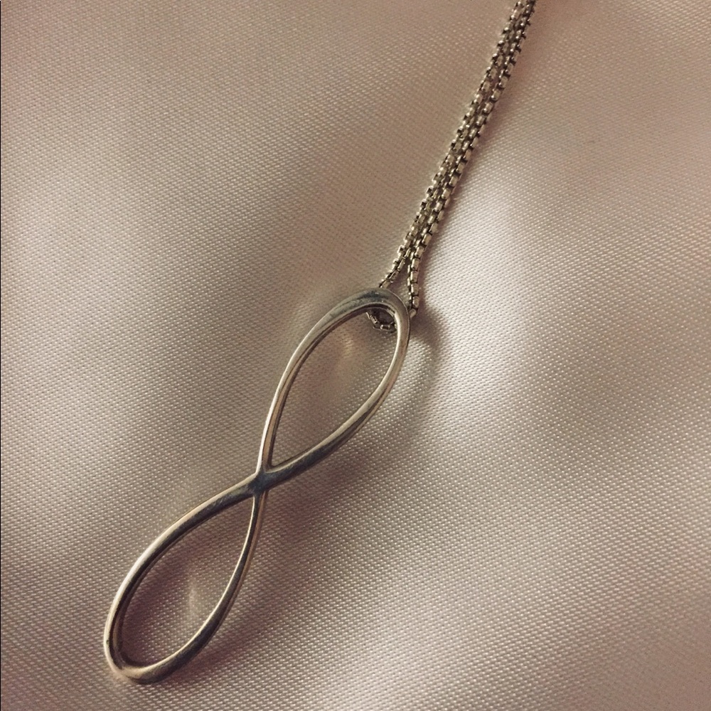 Alex and Ani Infinity Adjustable Necklace NWT